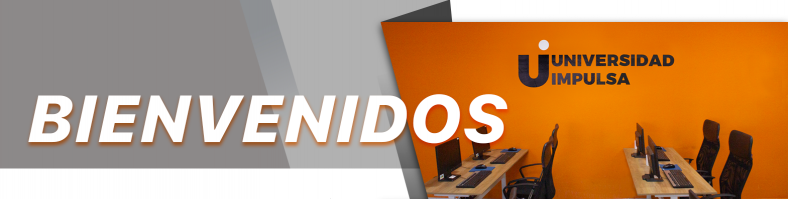 Universidad Impulsa